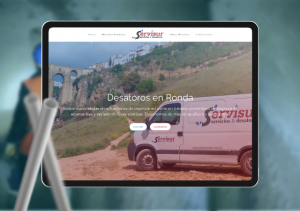 servisur portfolio cover template